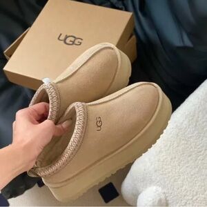 Ugg Tazz Tasman Platform Slippers Beautiful Mustard Seed